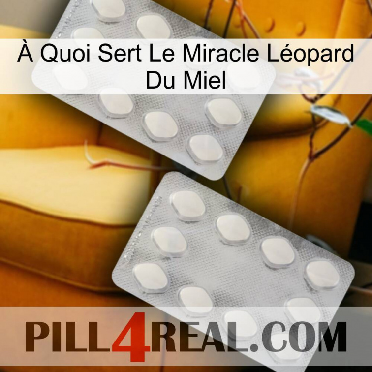 À Quoi Sert Le Miracle Léopard Du Miel 17